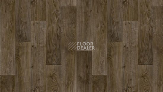 Линолеум Tarkett Discovery RIGARD 3 фото 1 | FLOORDEALER